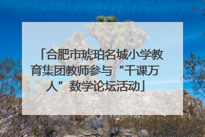 合肥市琥珀名城小学教育集团教师参与“千课万人”数学论坛活动