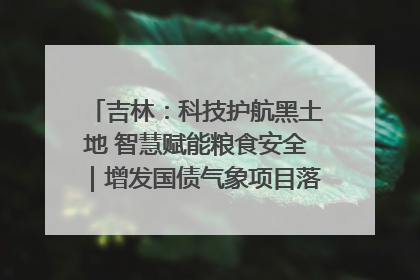 吉林：科技护航黑土地 智慧赋能粮食安全｜增发国债气象项目落地见效系列报道