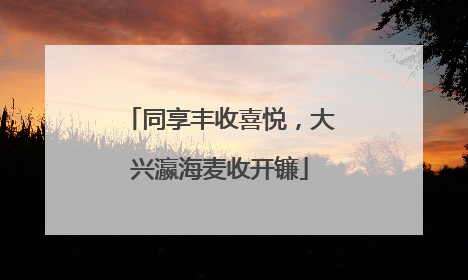 同享丰收喜悦，大兴瀛海麦收开镰