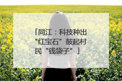 同江：科技种出“红宝石”鼓起村民“钱袋子”