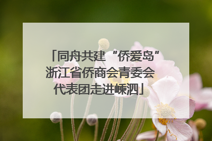同舟共建“侨爱岛” 浙江省侨商会青委会代表团走进嵊泗
