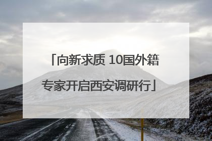向新求质 10国外籍专家开启西安调研行