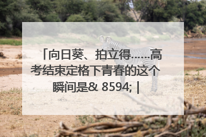 向日葵、拍立得……高考结束定格下青春的这个瞬间是& 8594;｜2025四川高考
