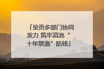 呈贡多部门协同发力 筑牢滇池“十年禁渔”防线
