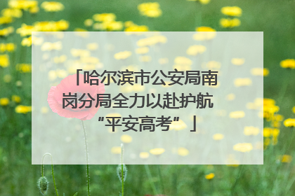 哈尔滨市公安局南岗分局全力以赴护航“平安高考”