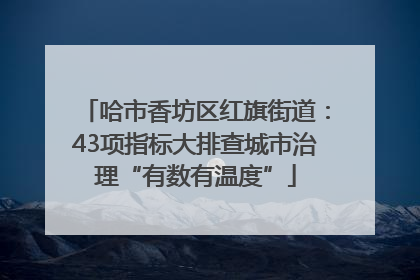 哈市香坊区红旗街道：43项指标大排查城市治理“有数有温度”