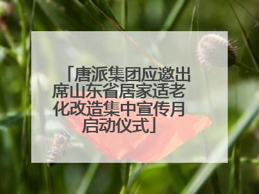 唐派集团应邀出席山东省居家适老化改造集中宣传月启动仪式
