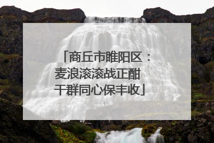商丘市睢阳区：麦浪滚滚战正酣 干群同心保丰收