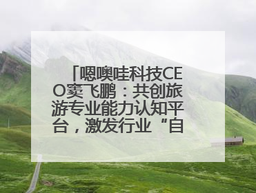 嗯噢哇科技CEO窦飞鹏：共创旅游专业能力认知平台，激发行业“自生长”力量