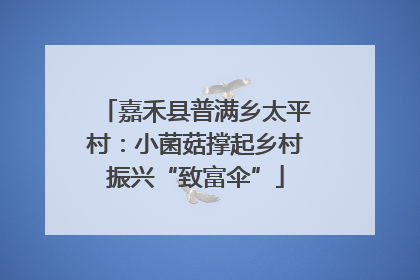 嘉禾县普满乡太平村：小菌菇撑起乡村振兴“致富伞”