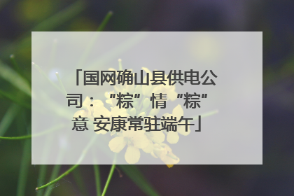 国网确山县供电公司：“粽”情“粽”意 安康常驻端午