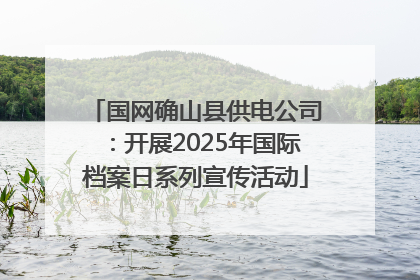 国网确山县供电公司：开展2025年国际档案日系列宣传活动