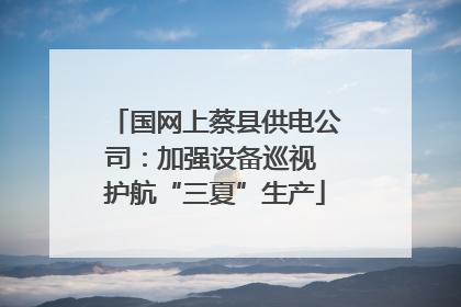 国网上蔡县供电公司：加强设备巡视 护航“三夏”生产