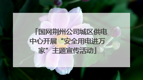 国网荆州公司城区供电中心开展“安全用电进万家”主题宣传活动