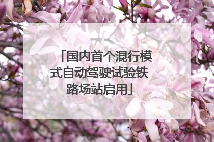 国内首个混行模式自动驾驶试验铁路场站启用