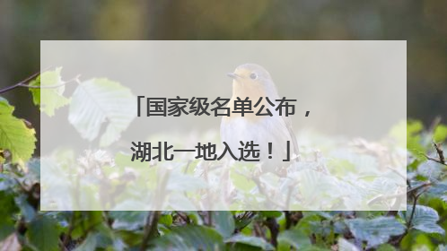 国家级名单公布，湖北一地入选！