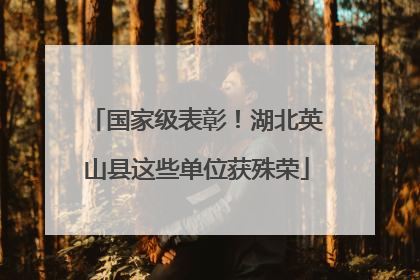 国家级表彰！湖北英山县这些单位获殊荣