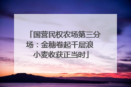 国营民权农场第三分场：金穗卷起千层浪 小麦收获正当时