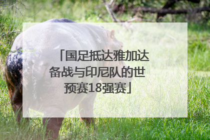 国足抵达雅加达备战与印尼队的世预赛18强赛