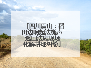 四川眉山：稻田边响起法槌声 巡回法庭现场化解耕地纠纷