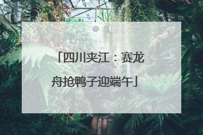 四川夹江：赛龙舟抢鸭子迎端午