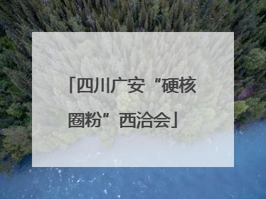 四川广安“硬核圈粉”西洽会