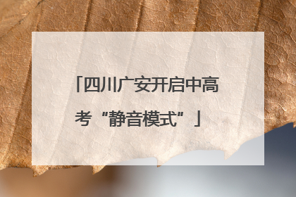 四川广安开启中高考“静音模式”