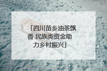 四川苗乡油茶飘香 民族类资金助力乡村振兴