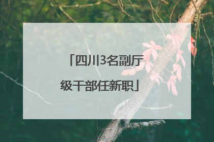 四川3名副厅级干部任新职