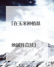 在玉米种植基地展开竞技