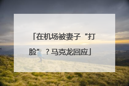 在机场被妻子“打脸”？马克龙回应