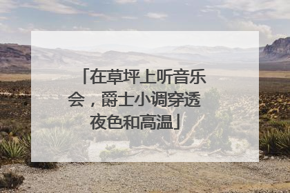 在草坪上听音乐会，爵士小调穿透夜色和高温