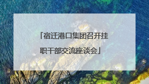 宿迁港口集团召开挂职干部交流座谈会
