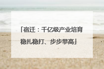 宿迁：千亿级产业培育稳扎稳打、步步攀高