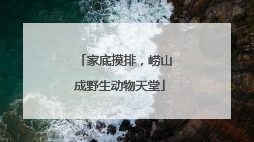 家底摸排，崂山成野生动物天堂