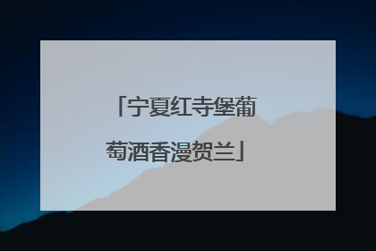 宁夏红寺堡葡萄酒香漫贺兰