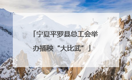宁夏平罗县总工会举办插秧“大比武”