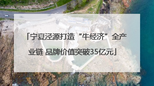 宁夏泾源打造“牛经济”全产业链 品牌价值突破35亿元