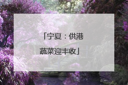 宁夏：供港蔬菜迎丰收