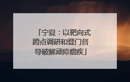 宁夏：以靶向式蹲点调研和登门督导破解顽瘴痼疾
