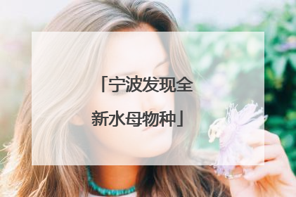 宁波发现全新水母物种