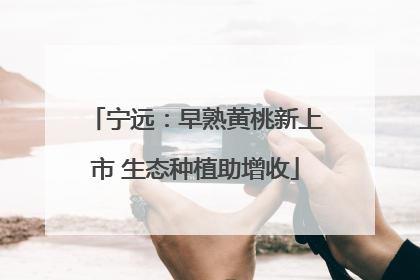 宁远：早熟黄桃新上市 生态种植助增收