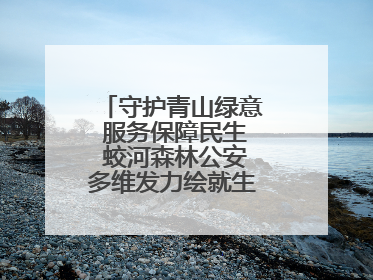 守护青山绿意 服务保障民生 蛟河森林公安多维发力绘就生态惠民新画卷
