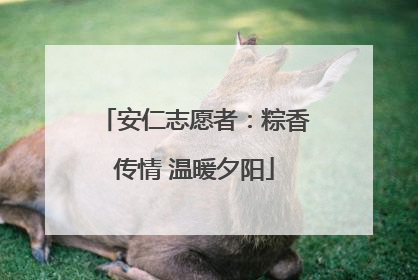安仁志愿者：粽香传情 温暖夕阳