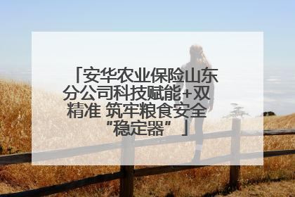 安华农业保险山东分公司科技赋能+双精准 筑牢粮食安全“稳定器”