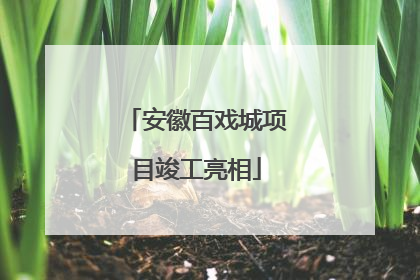 安徽百戏城项目竣工亮相