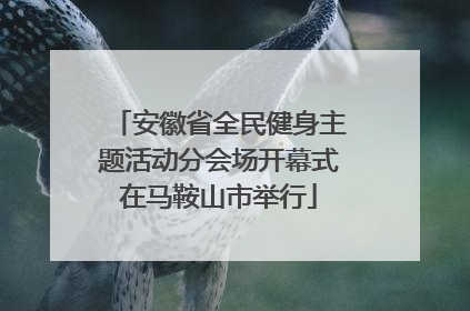 安徽省全民健身主题活动分会场开幕式在马鞍山市举行