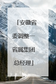 安徽省委调整一省属集团总经理
