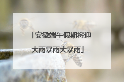 安徽端午假期将迎大雨暴雨大暴雨