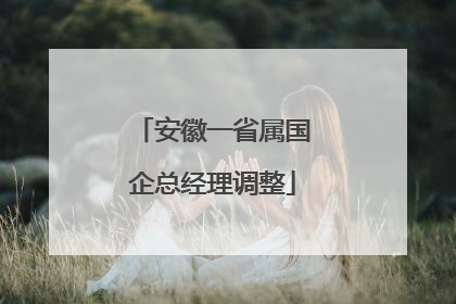 安徽一省属国企总经理调整